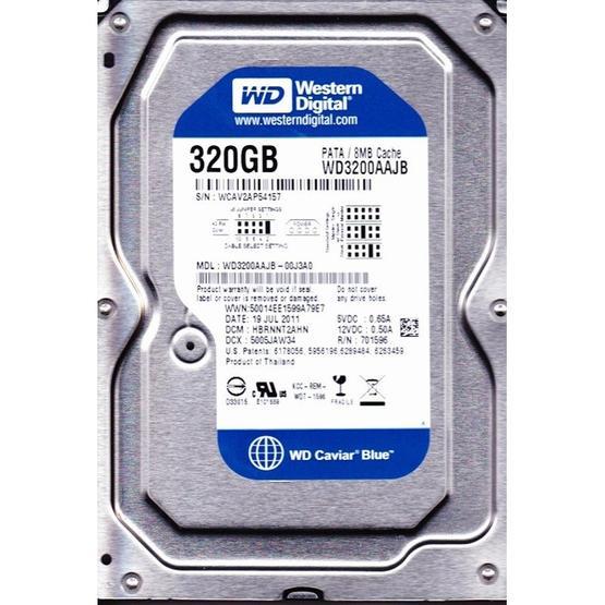 Western Digital WD3200AAJB Harddisk