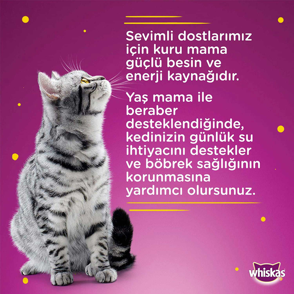 Whiskas Kedi Maması 400 gr Konserve Tavuk Etli