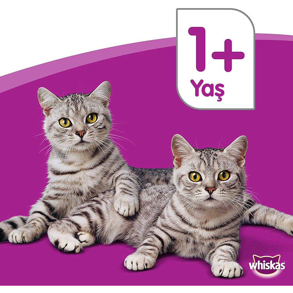 Whiskas Kedi Maması 400 gr Konserve Tavuk Etli