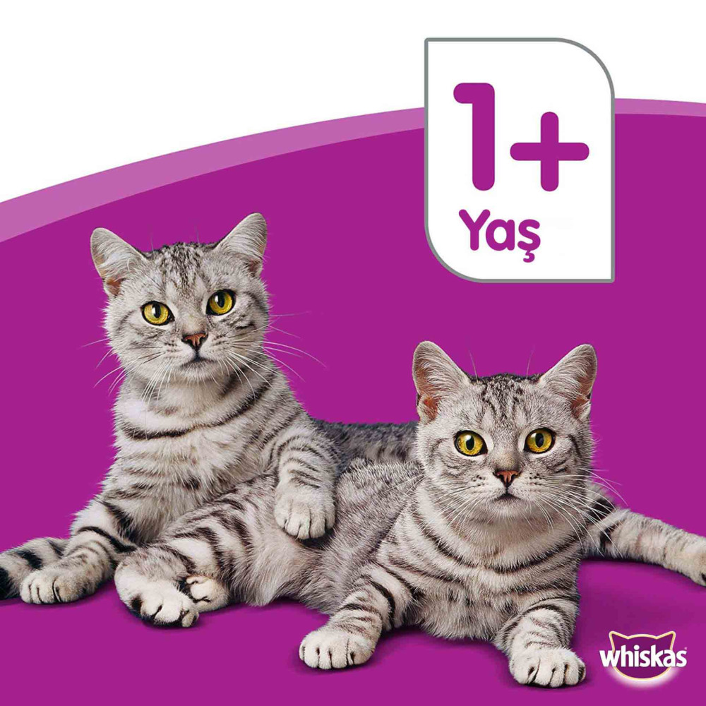 Whiskas Kedi Maması 400 gr Konserve Tavuklu
