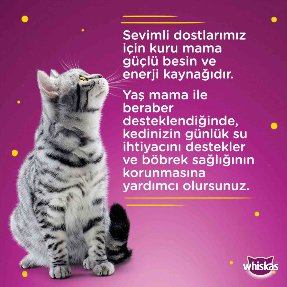 Whiskas Kedi Maması 400 gr Konserve Tavuklu