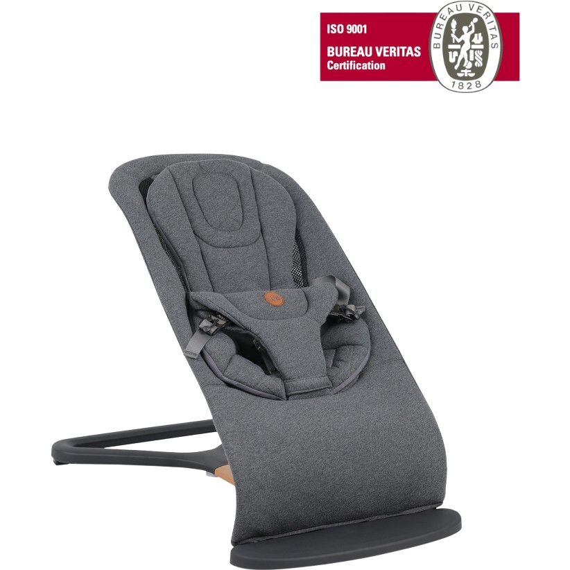 Will Bouncer Side Ana Kucağı - Anthracite Diğer Fiyatı