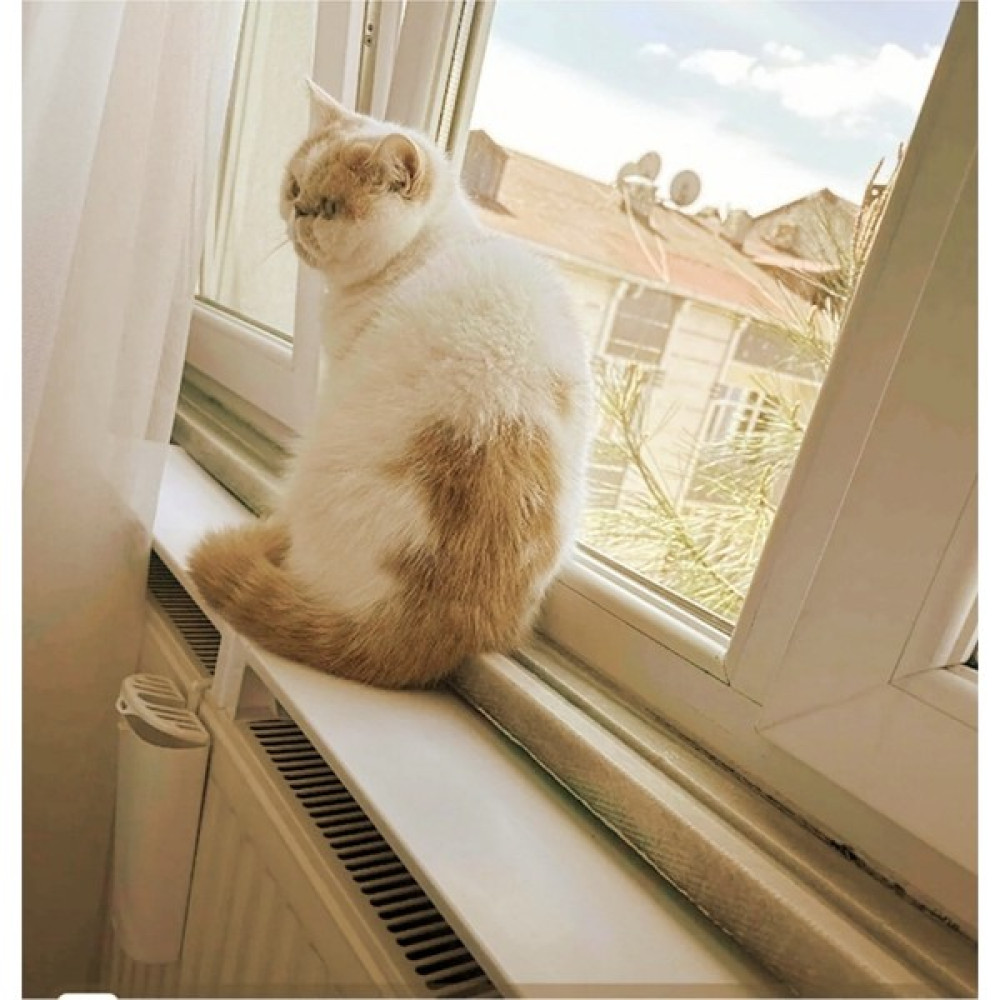 Windorwin 40cm Pilastik Isıyön Kalorifer Peteği Kedi Isı Tüneği (Pilastik) Evcil Hayvan Ürünleri Fiyatı