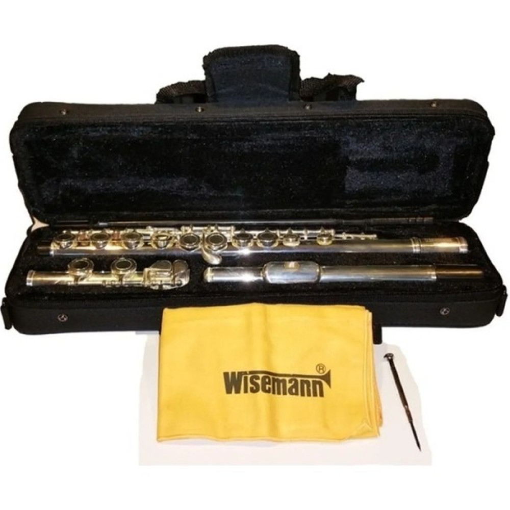 Wisemann DFL-150 Gümüş Yan Flüt Oto Boyaları Fiyatı