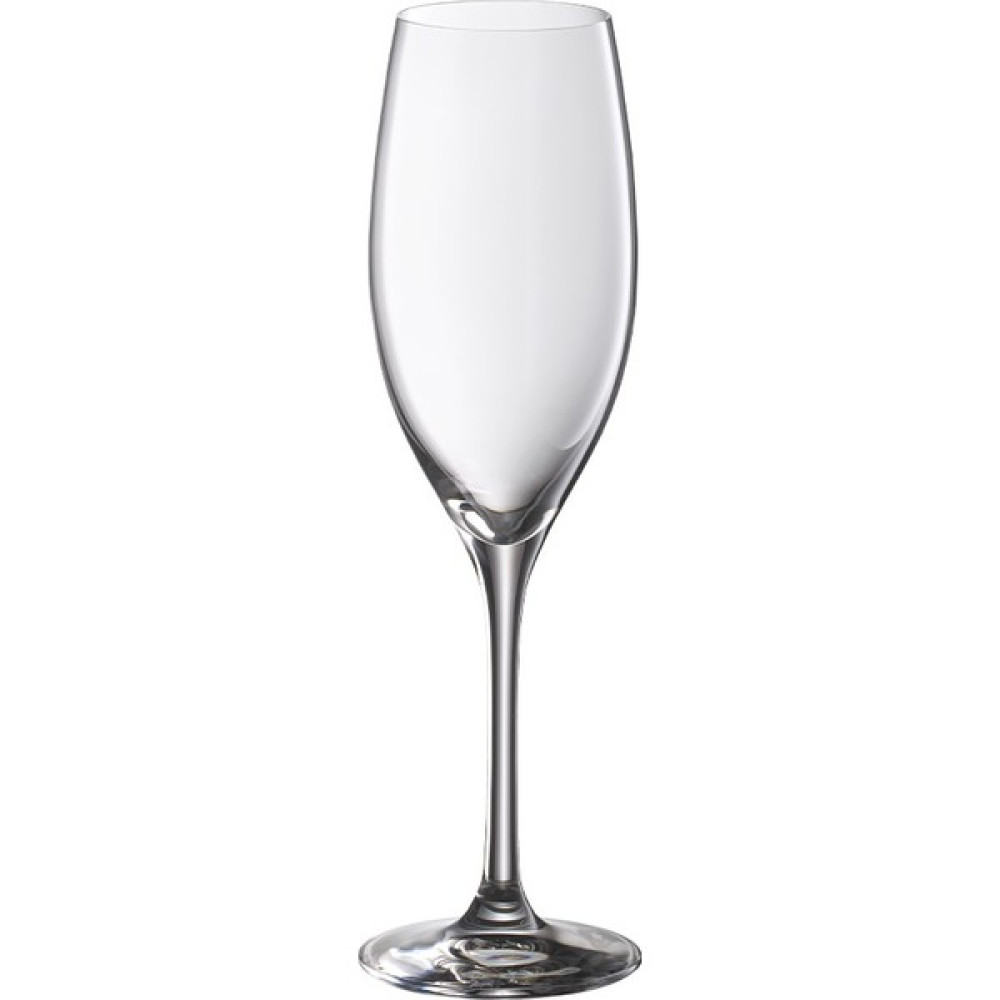 Wmf Şampanya Kadehi Seti 6'lı - 6 Adet - 250 ml Oto Boyaları Fiyatı