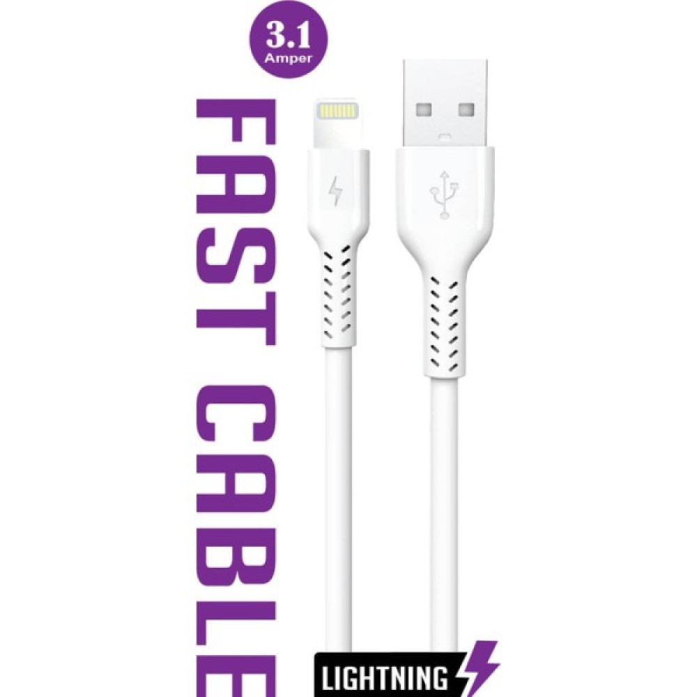 WNQA USB IPHONE 3.1 Amper Lıghtnıng Hızlı Şarj Kablosu Oto Boyaları Fiyatı