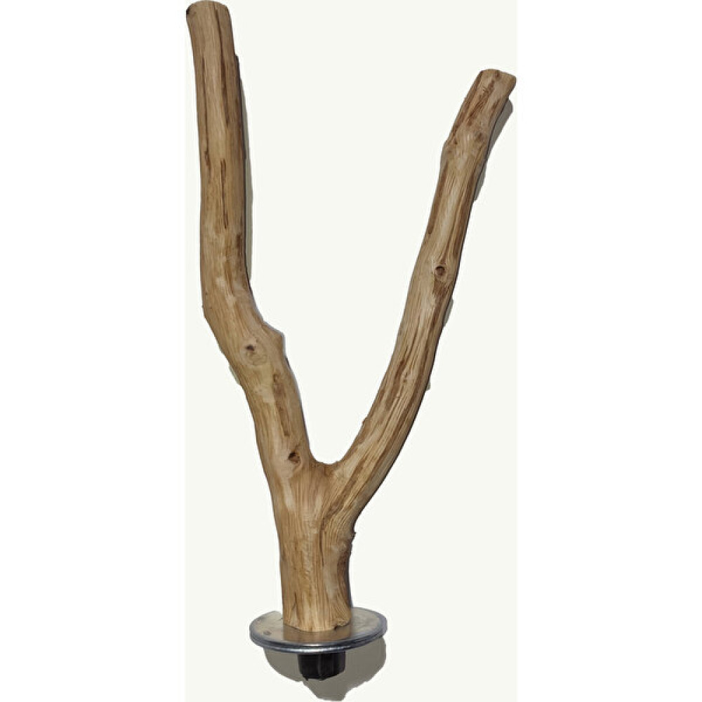 Wooden Bird Muhabbet Kuşu Çatal Ağaç Tünek Evcil Hayvan Ürünleri Fiyatı
