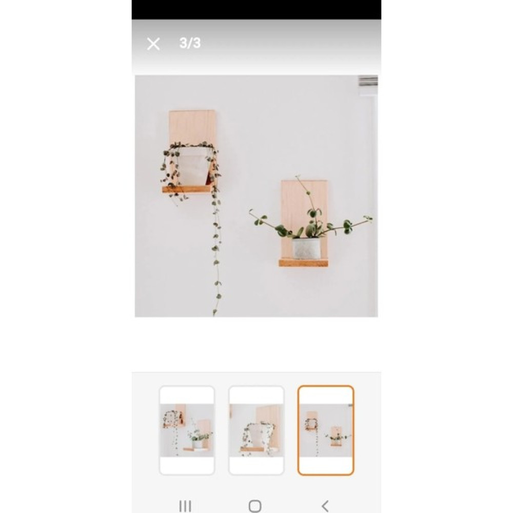 Wooden Women World Ahşap Duvar Çiçek, Mumluk Rafı, Balkon Duvar Rafı 6 Adet WWW2023004014 Duvar Rafı Fiyatı