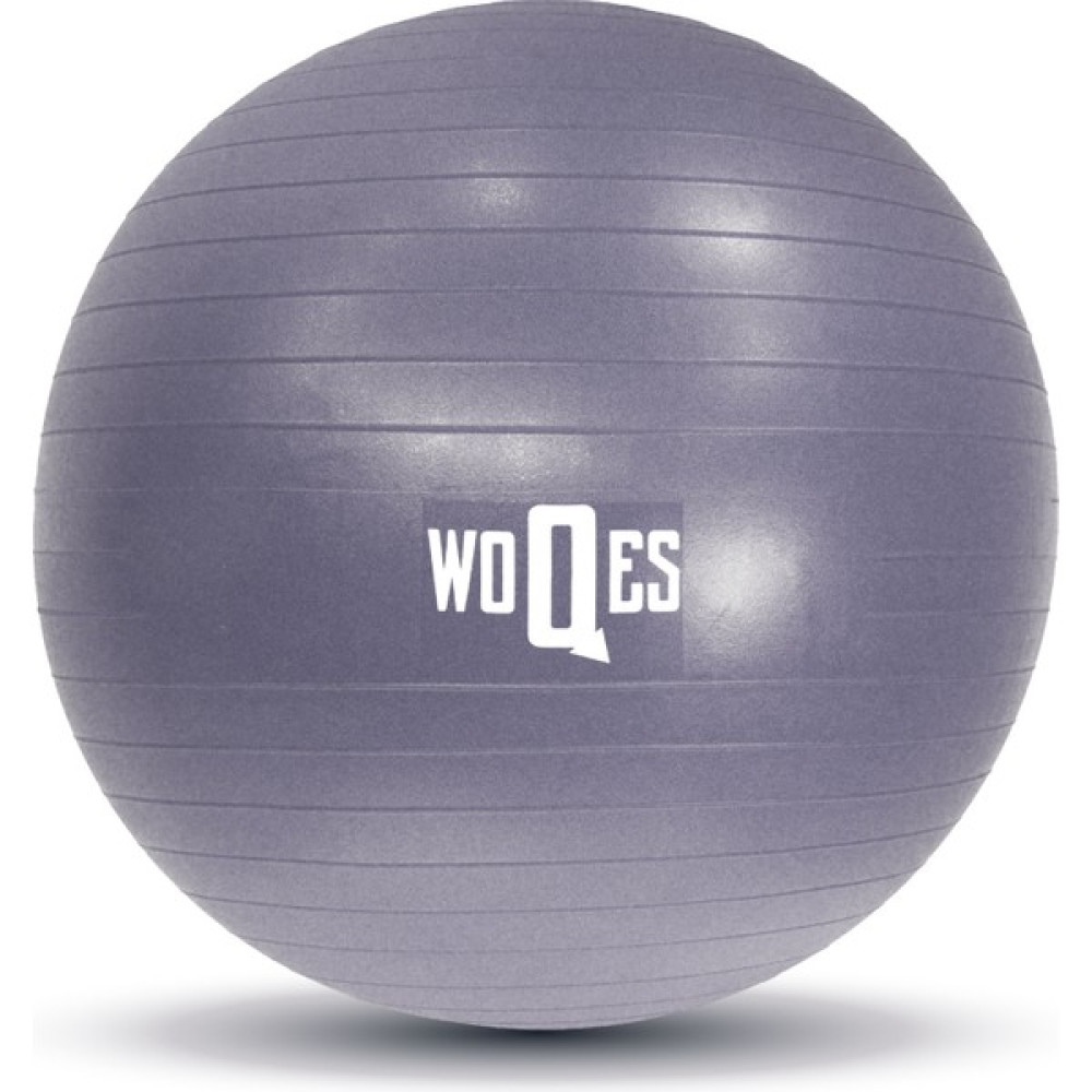 WOQES 65cm Pilates Topu Yüksek Kalite PVC Şişirme Pompası Hediyeli - Gri Oto Boyaları Fiyatı