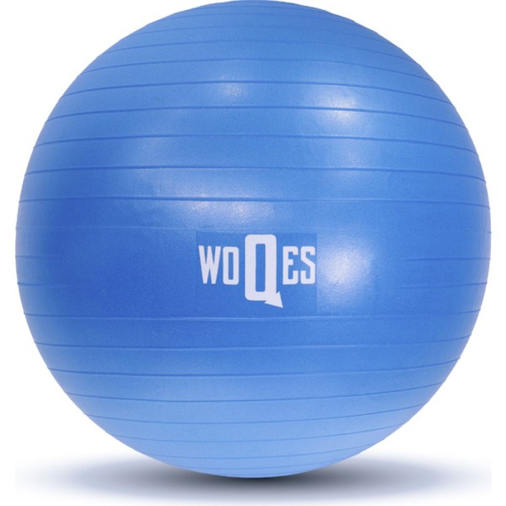 WOQES 65cm Pilates Topu Yüksek Kalite PVC Şişirme Pompası Hediyeli - Mavi Oto Boyaları Fiyatı