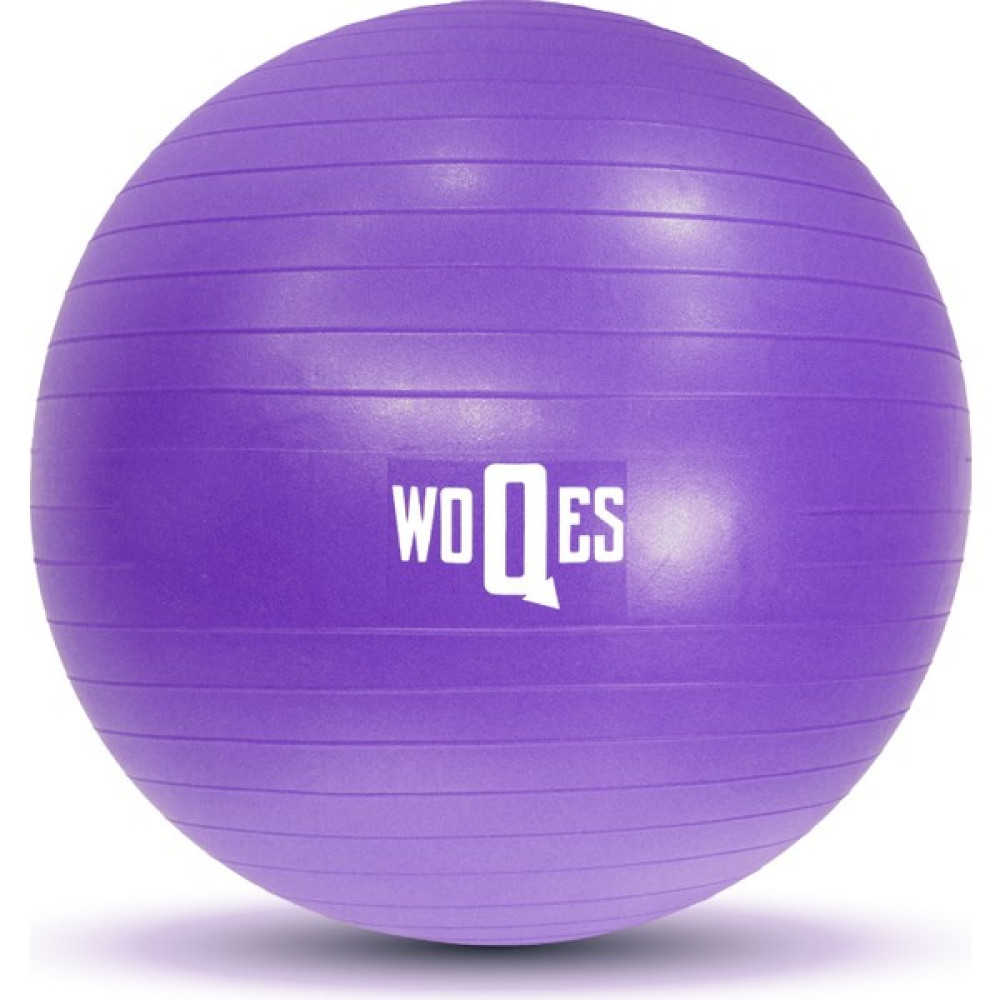 WOQES 65cm Pilates Topu Yüksek Kalite PVC Şişirme Pompası Hediyeli - Mor Oto Boyaları Fiyatı