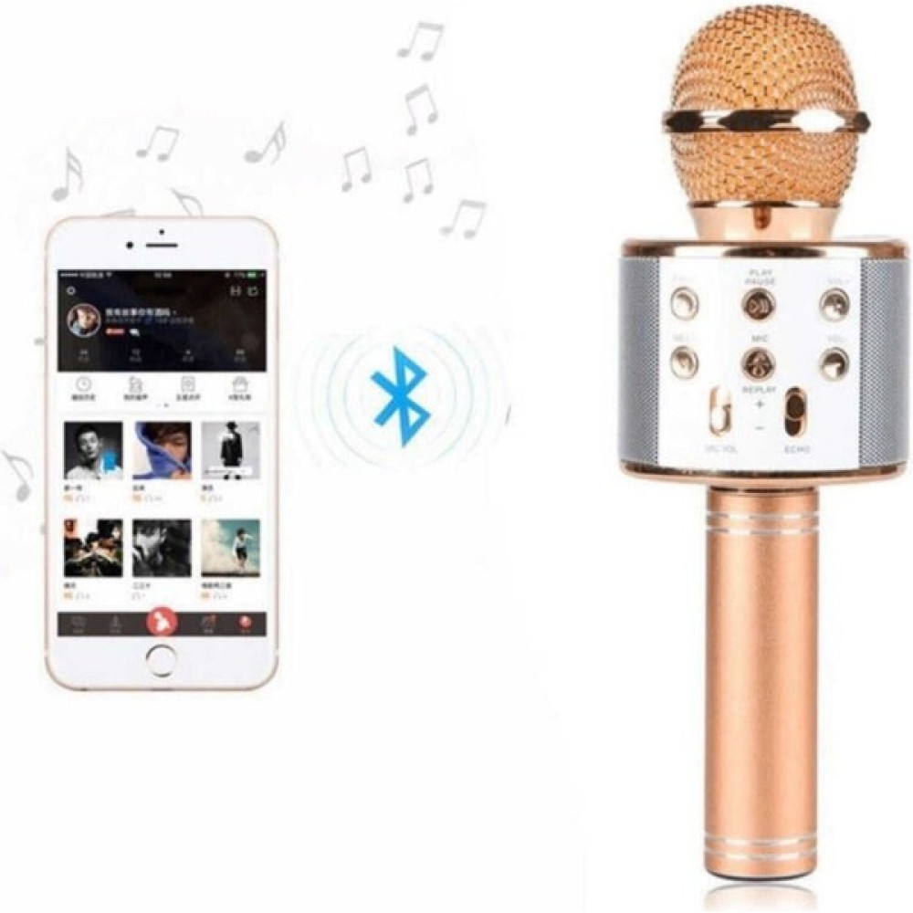 WS-858 Karaoke Mikrofon Müzik Aletleri Fiyatı