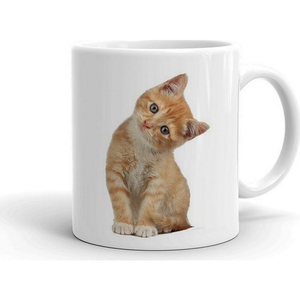 Wuw Masum Kedi Seramik Kupa Fincan / Bardak / Kahve Takımı Fiyatı