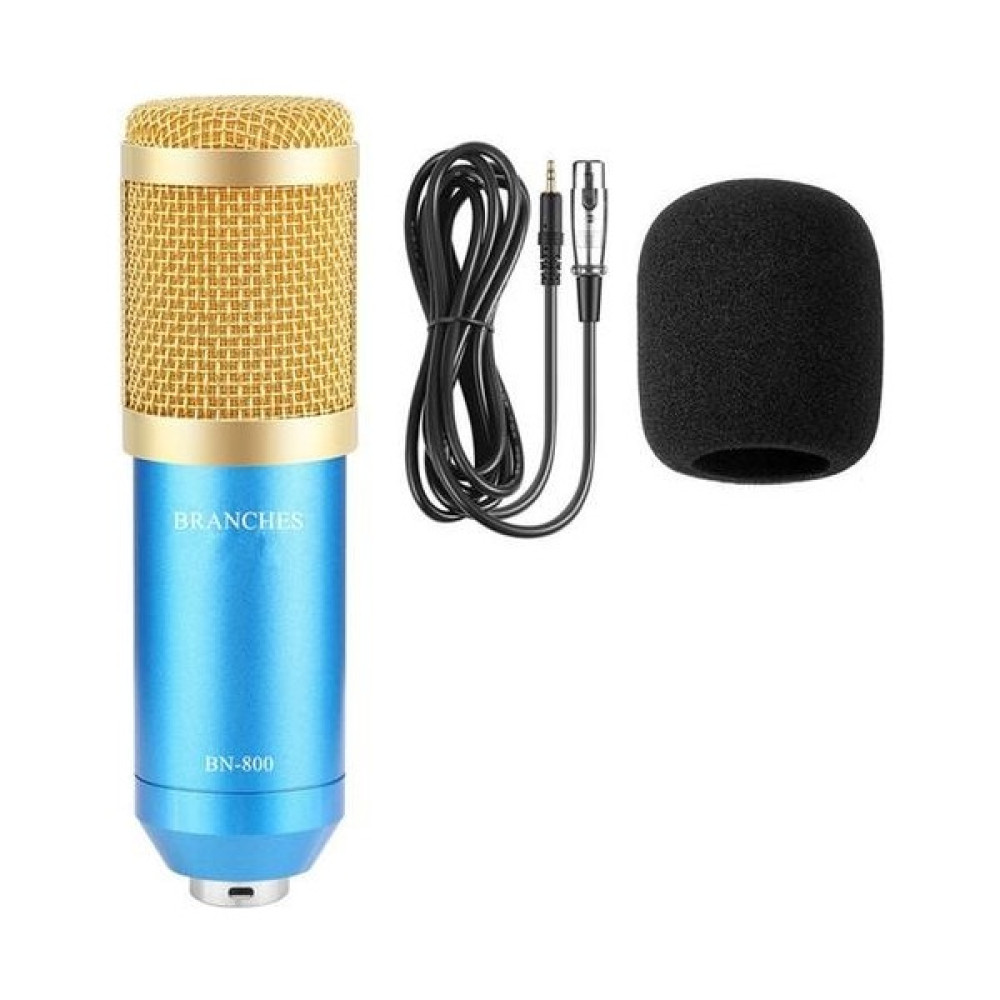 Xinh Bm 800 Profesyonel Kondenser Mikrofon Seti: Bilgisayar + Mikrofon + Bm 800 Mikrofon BM800 Olarak Şok Montaj + Köpük Kapağı + Kablo (Yurt Dışın... Bilgisayar Speaker Fiyatı