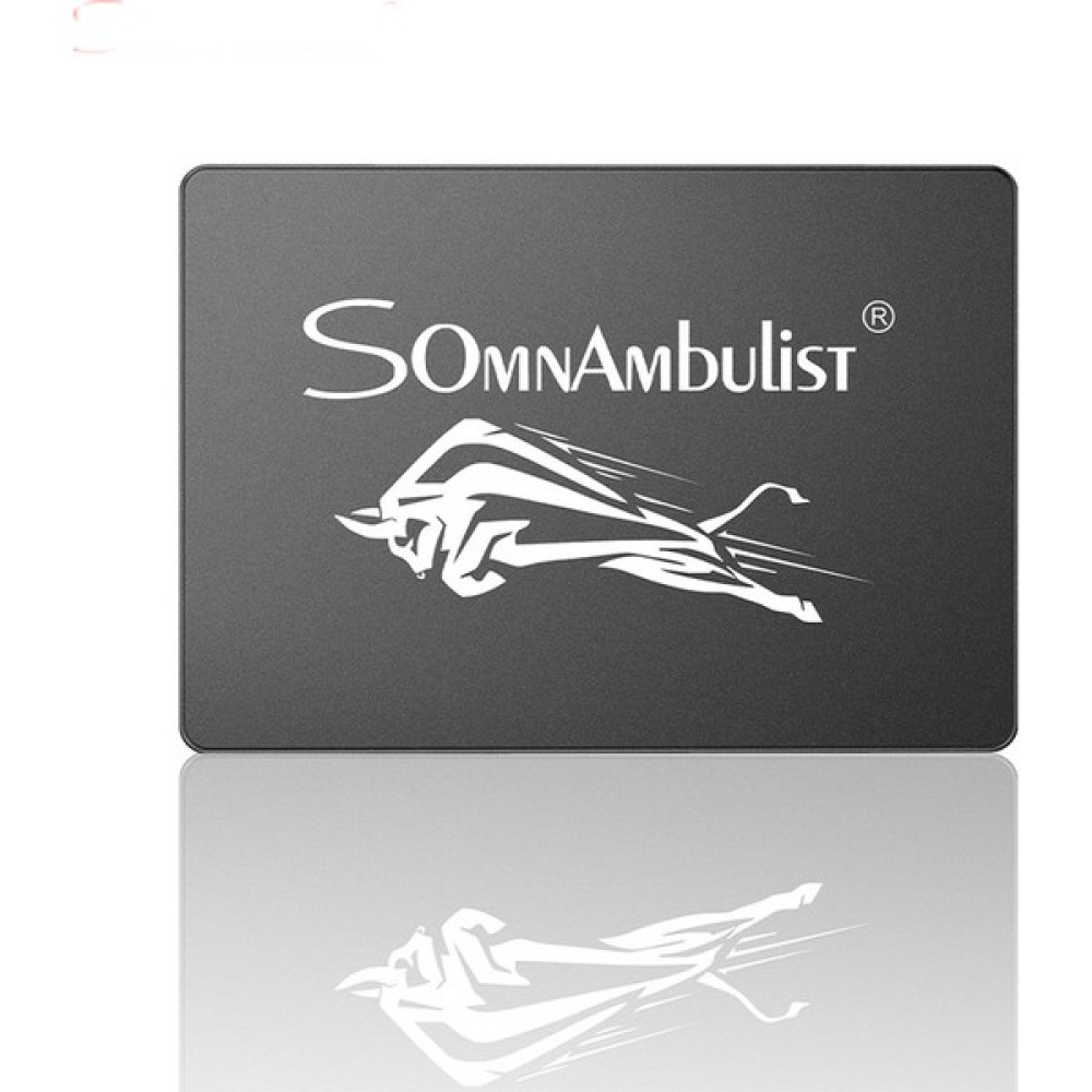 Xinyifeiyang Masaüstü Bilgisayar Dizüstü Siyah Sığırlar Için 256 GB Yüksek Hızlı Harici SSD Mobil Katı Hal Sürücü Sata Arabirimi (Yurt Dışından) SSD / Solid State Drive Fiyatı