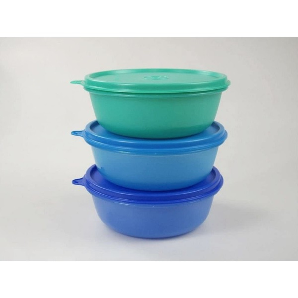 Xnews Tupperware Hit-Parade Buzdolabı Saklama Kabı, 600 Ml, Koyu Mavi+Açık Mavi+Yeşil, Panorama Saklama Kapları Fiyatı