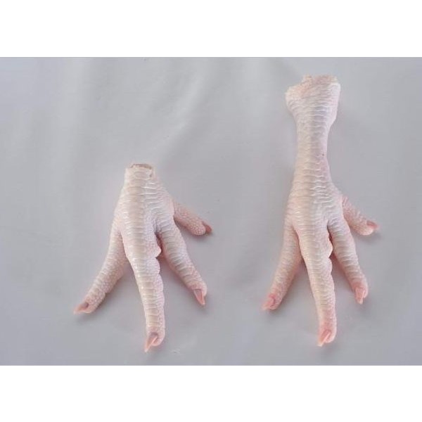 Xushi Gıda Jumbo Tavuk Ayağı (Chicken Feet) - 1kg - 10 kg Diğer Fiyatı