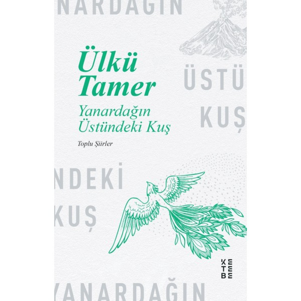 Yanardağın Üstündeki Kuş - Ülkü Tamer Şiir Kitapları Fiyatı