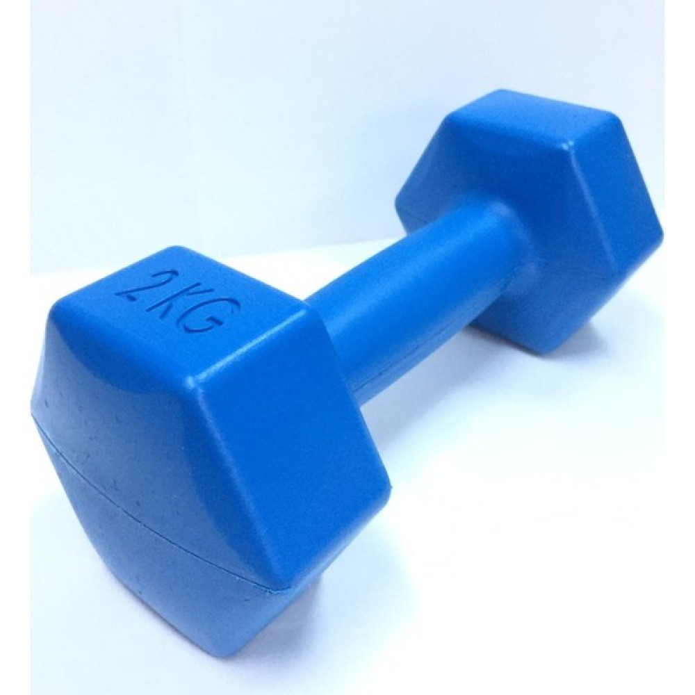Yanaşık Spor 1 x 2 kg Plastik Dambıl Dambıllar & El / Ayak Ağırlıkları Fiyatı