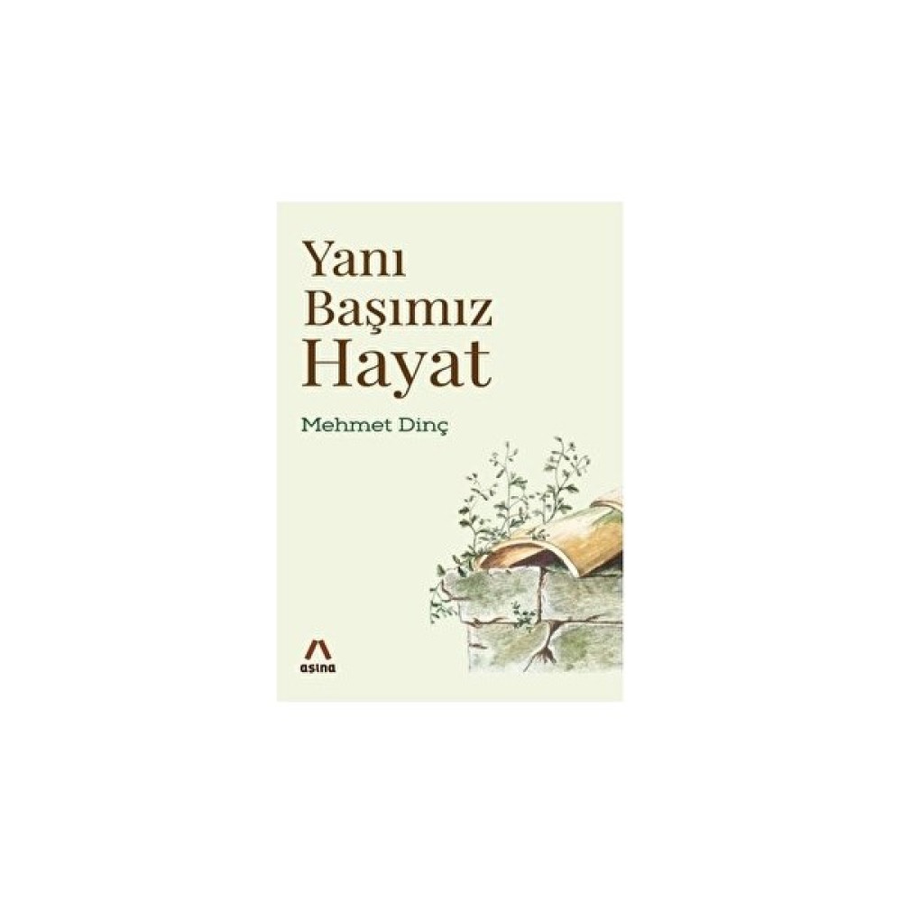 Yanı Başımız Hayat - Mehmet Dinç Deneme - İnceleme Fiyatı