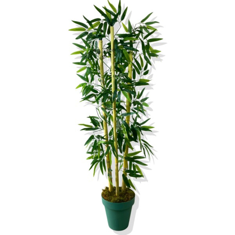 Yapay Yapraklı Bambu Ağacı 3 Bambu'lu 110 cm Turkuaz Saksı Ev & Dekorasyon Aksesuarları Fiyatı