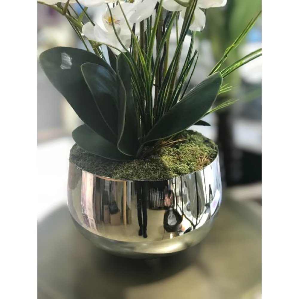 Yaren Style Büyük Gümüş Metal Orkide Saksısı Vazo / Çiçekler Görsel Amaçlı Kullanılmıştır. Saksı ve Aksesuarları Fiyatı
