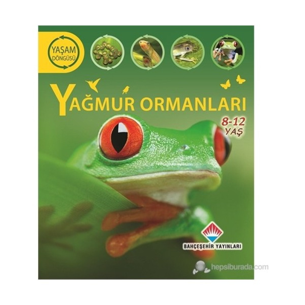Yaşam Döngüsü: Yağmur Ormanları - (Yeryüzü Ekosistemlerini Keşfedelim)-Sean Callery Diğer Fiyatı