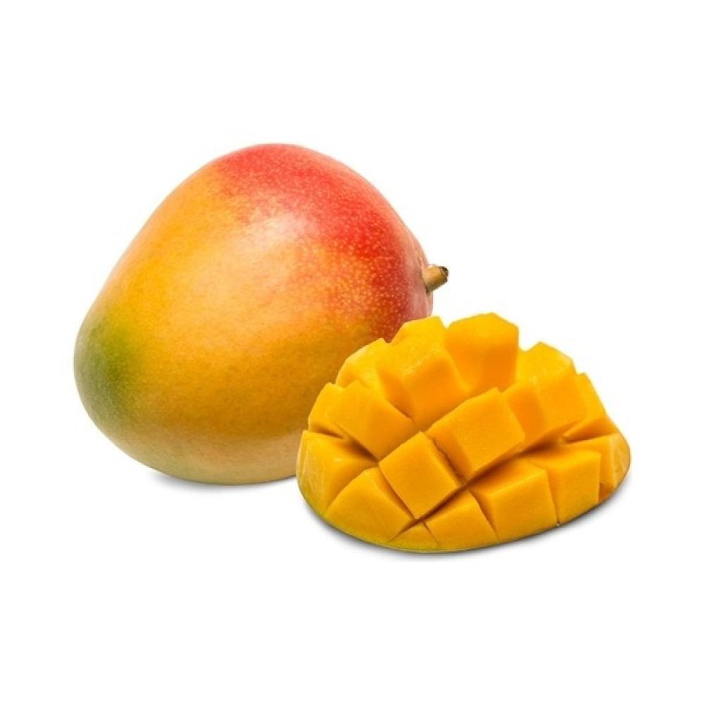 Yavuz Fidancılık Mango Fidanı 1 YAŞ 20 CM - Yok Fidan Fiyatı