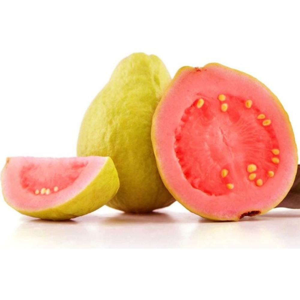 Yavuz Fidancılık Sarı Guava (Yellow Guava) Fidanı Fidan Fiyatı