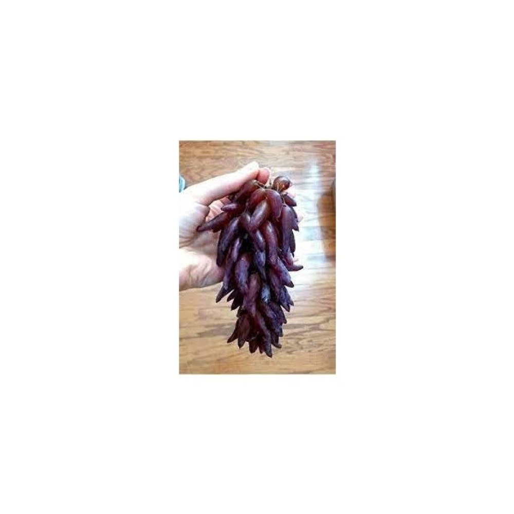 Yayla Tarım 3 Adet Üzüm Fidanı ( Cadı Parmağı ) Açık Kök 2 Yaş 50 cm Aşılı Fidan Fiyatı