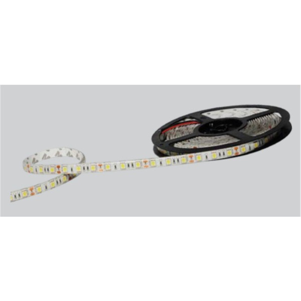 Ycl Powerlıne Pl 4040 3000K Gün Işığı LED Çip 5 Metre Led Aydınlatmalar Fiyatı