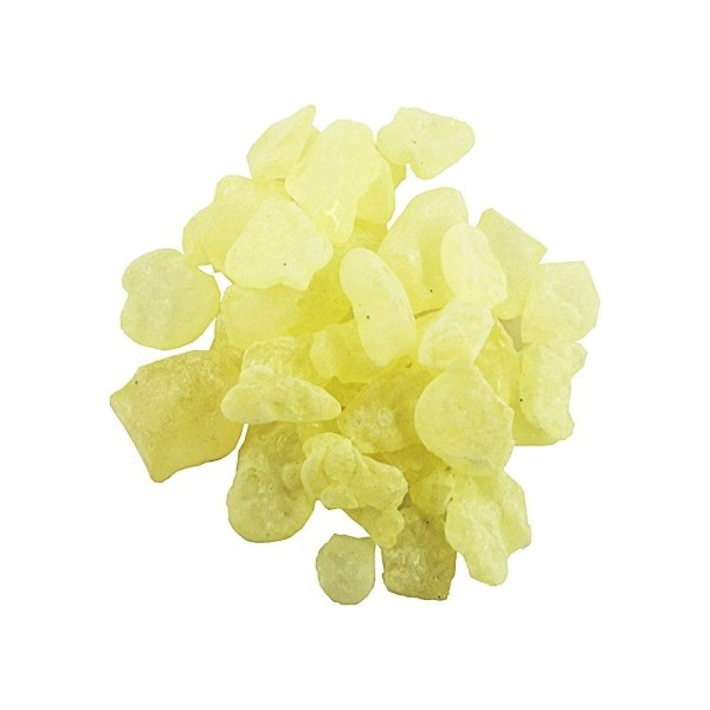 Yelken Damla Sakızı 100 gr Şekerleme Sakız Fiyatı