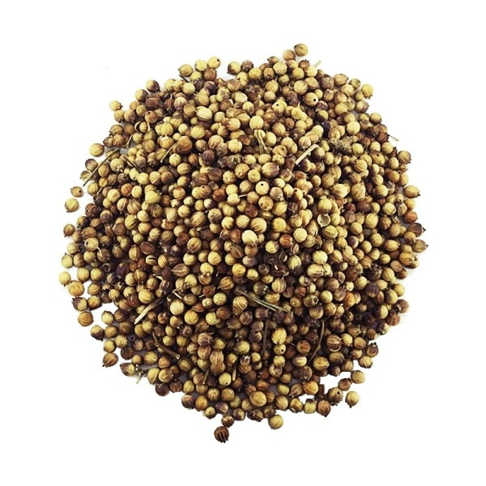 Yelken Kişniş Tane 250 gr Oto Boyaları Fiyatı