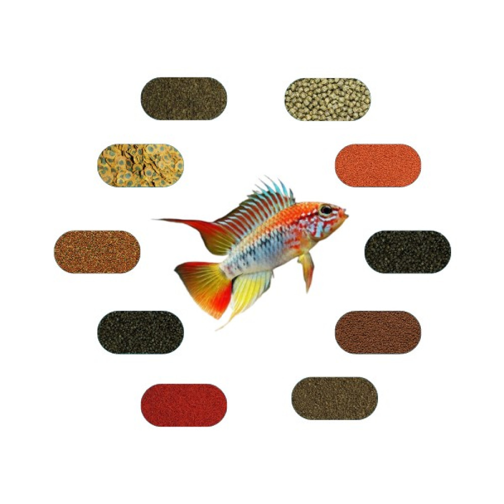 Yemkolik Apistogramma Yem Paketi (Cüce Amerikan Ciklet) 100 gr*Ad Oto Boyaları Fiyatı