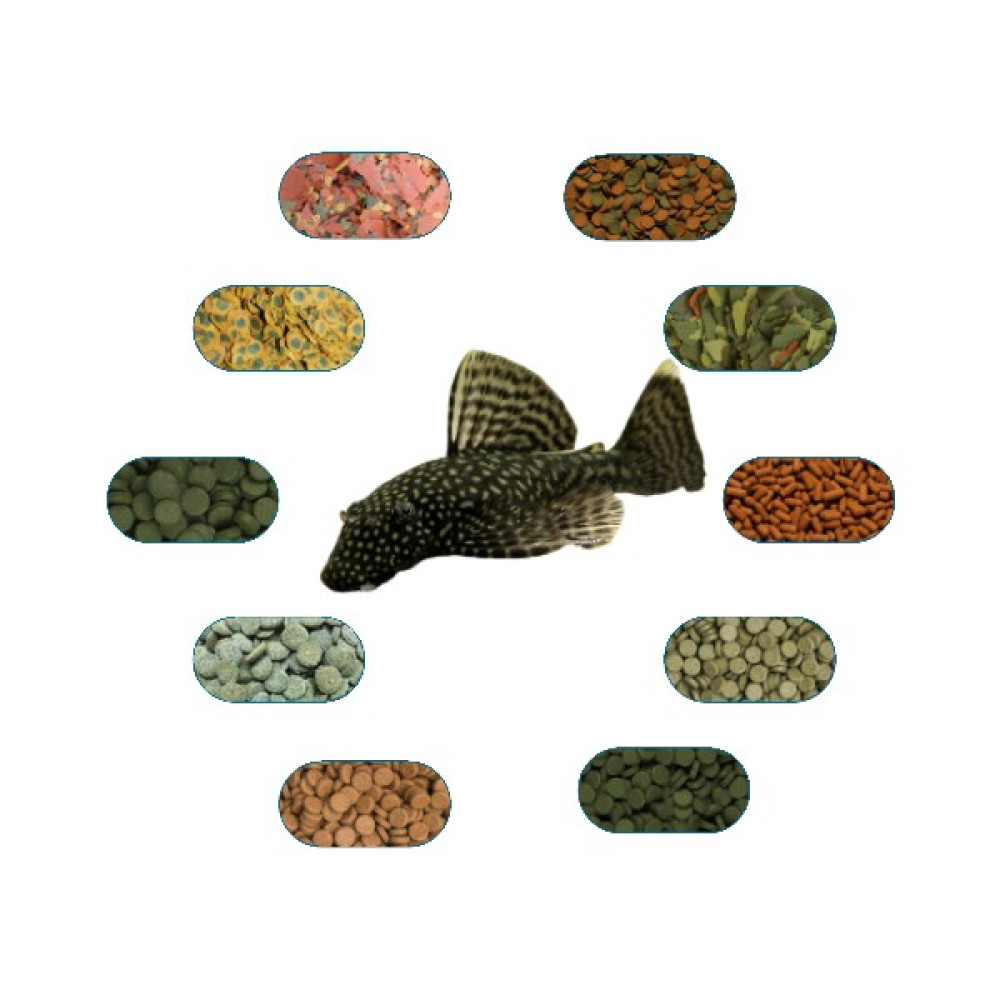 Yemkolik Cüce Vatoz Yem Paketi (6çeşıt)(L144-Süper Red-Lda16 Vb.) 50 gr/Ad Oto Boyaları Fiyatı