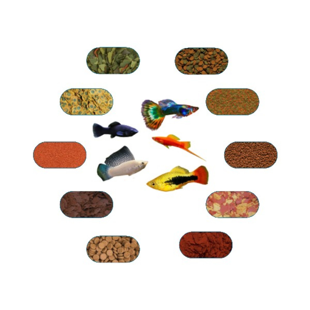 Yemkolik Karma Canlı Doğuran Yem Paketi (Kılıç,moli,lepistes,velifera,plati) 100 Gr/ad (7 Çeşit) Evcil Hayvan Ürünleri Fiyatı