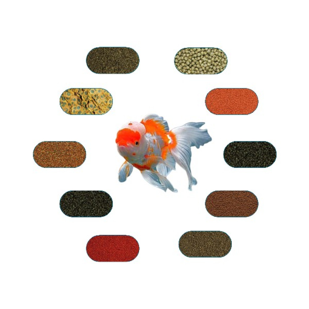 Yemkolik Oranda Yem Paketi 100 Gr/ad (6 Çeşit) Oto Boyaları Fiyatı