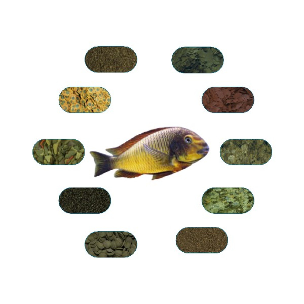 Yemkolik Tropheus Ilangi Yellow Özel Balık Yem Paketi (6 Çeşit) 50 gr/Ad Oto Boyaları Fiyatı
