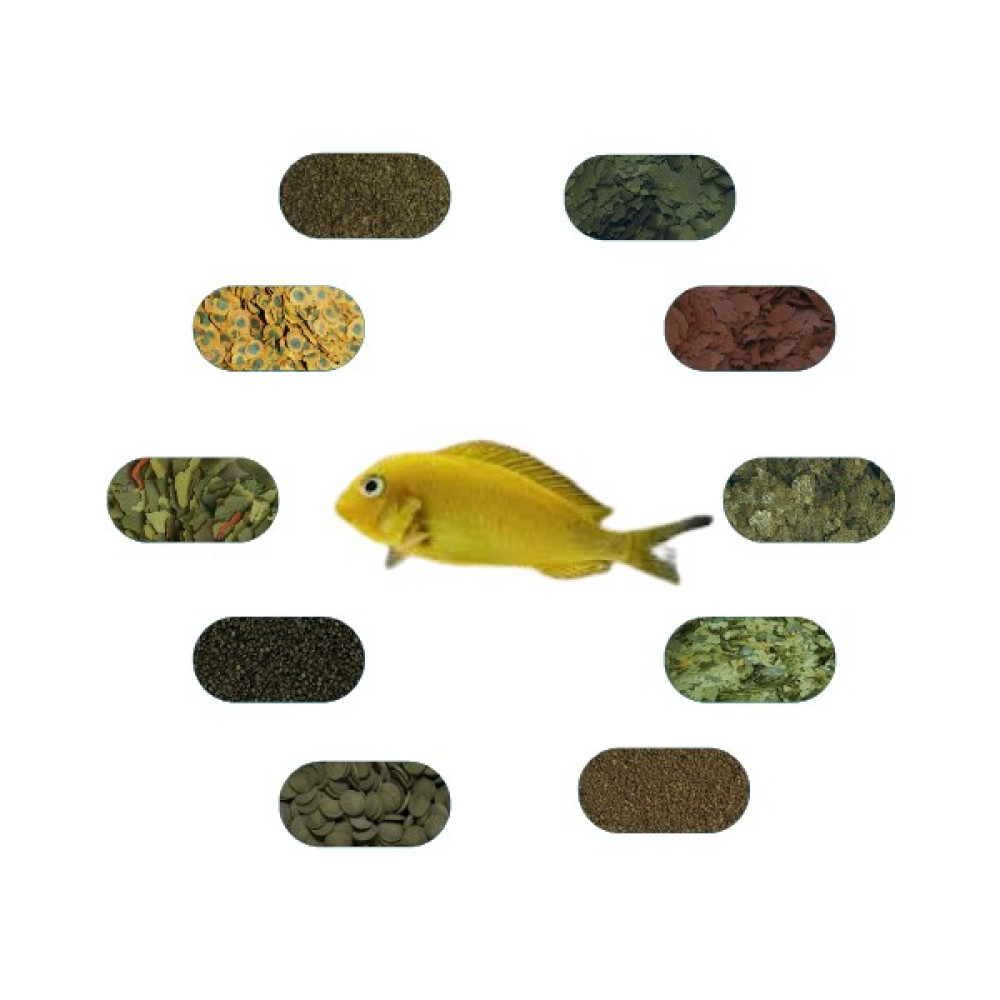 Yemkolik Tropheus Kriza Gold Özel Yem Paketi (6 Çeşit) 50 gr/Ad Evcil Hayvan Ürünleri Fiyatı