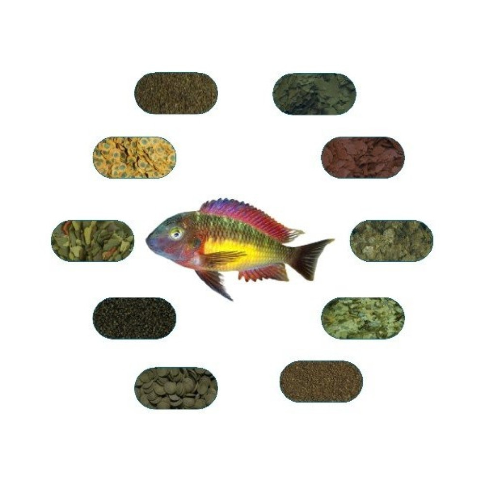 Yemkolik Tropheus Red Rainbow Özel Balık Yem Paketi (6 Çeşit) 50 Gr/Ad Oto Boyaları Fiyatı
