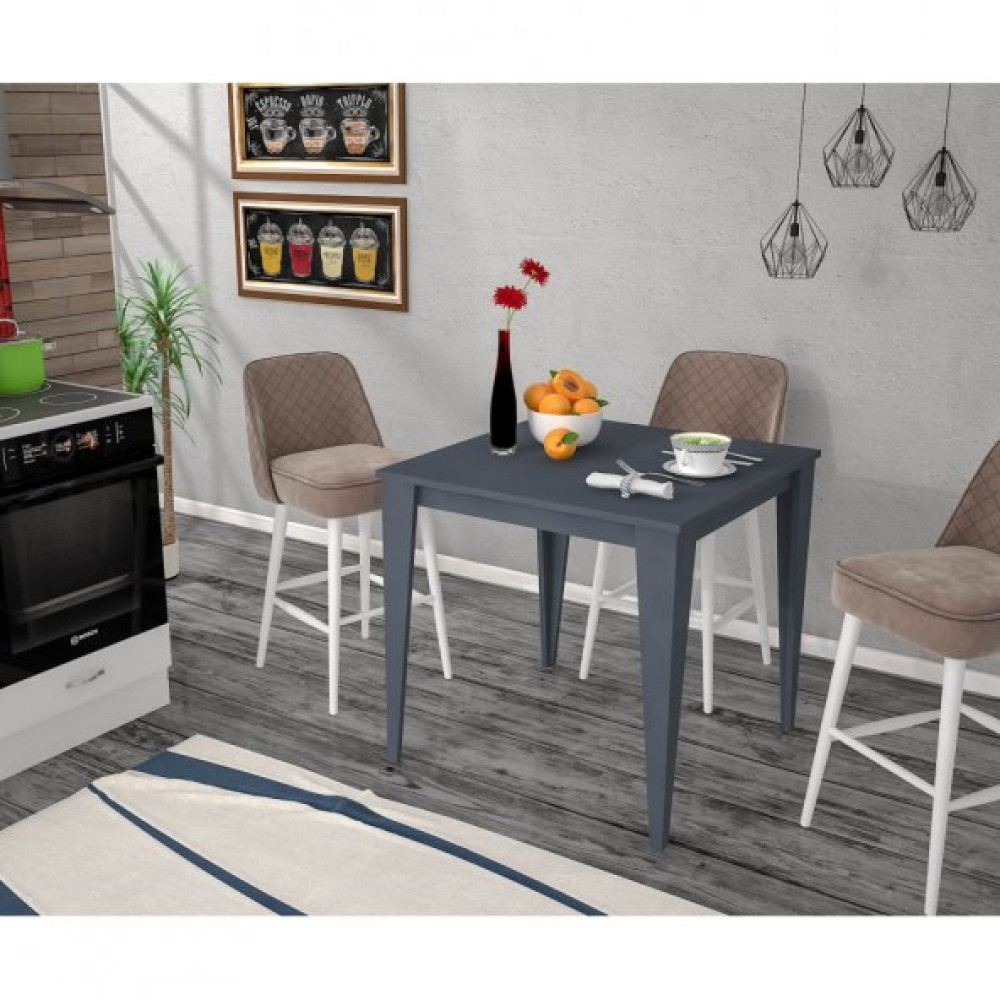 Yenice 70X70 Mutfak Masasi Antrasit Mutfak Dolabı / Mobilyası Fiyatı