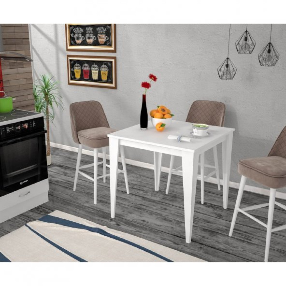 Yenice 70X70 Mutfak Masasi Beyaz Mutfak Dolabı / Mobilyası Fiyatı