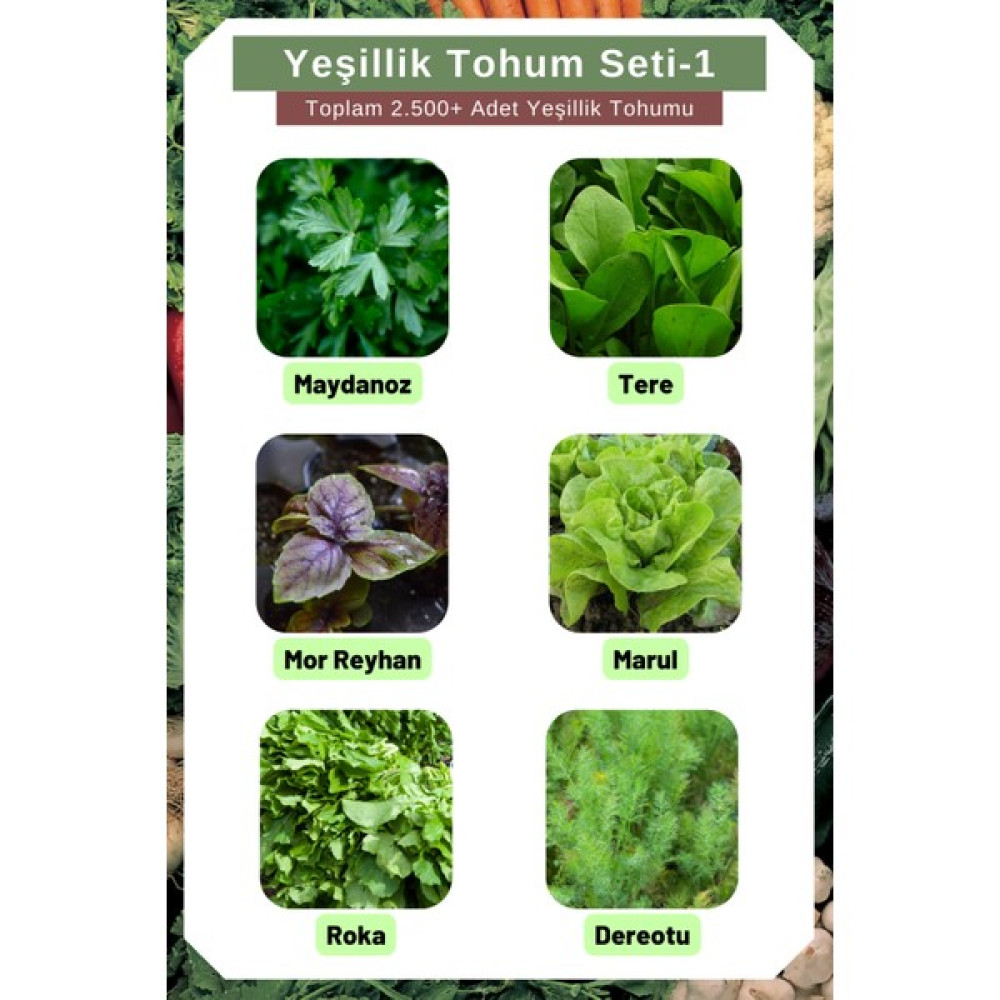 Yeşillik Tohum Seti-1, Toplam 2.500+ Adet Yeşillik Tohumu, 6 Çeşit Yeşillik Tohumu - 1 Adet Tohum Fiyatı
