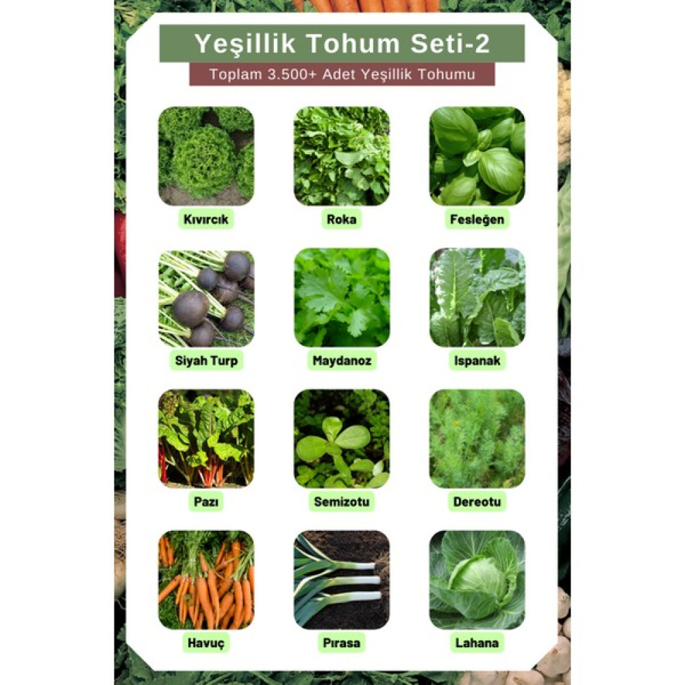 Yeşillik Tohum Seti-2, Toplam 3.500+ Adet Yeşillik Tohumu, 12 Çeşit Yeşillik Tohumu - 1 Adet Tohum Fiyatı