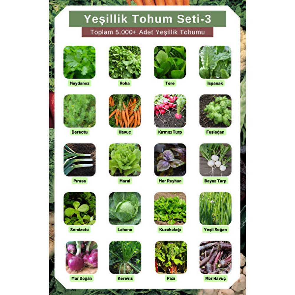 Yeşillik Tohum Seti-3, Toplam 5.000+ Adet Yeşillik Tohumu, 20 Çeşit Yeşillik Tohumu - 1 Adet Tohum Fiyatı