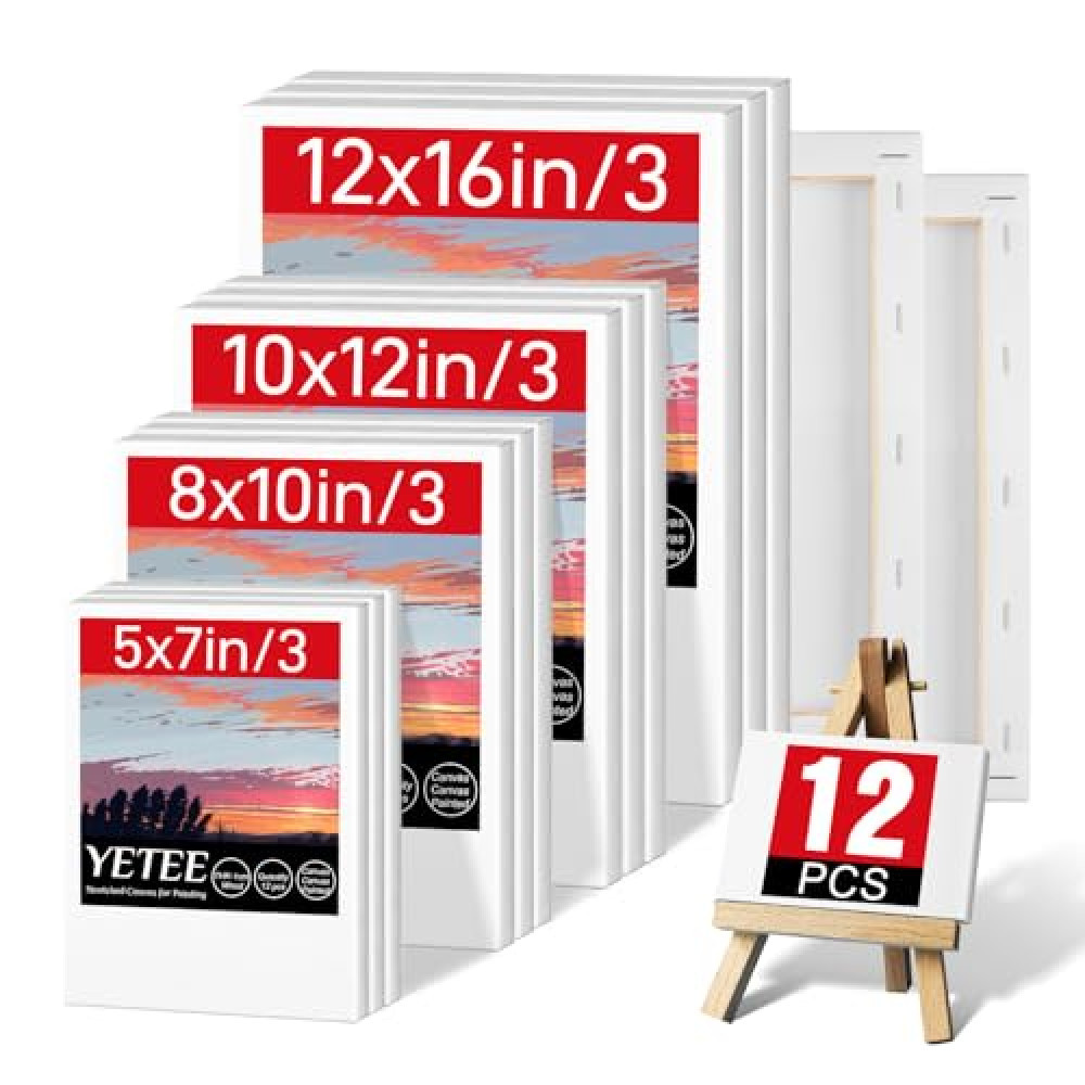 YETEE 12 Pcs Stretched Canvas for Painting, Multiple Sizes: 12x16, 10x12, 8x10, 5x7, Blank Canvases Boards for Oil Painting Tuval Fiyatı