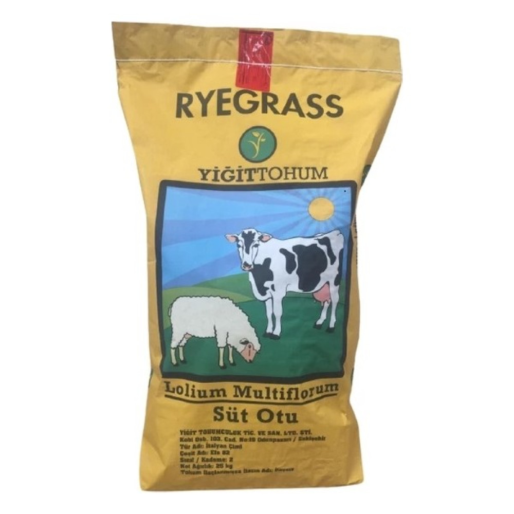 Yiğit Tohum - Süt Otu (Italıan Ryegrass) 10 kg Tohum Fiyatı
