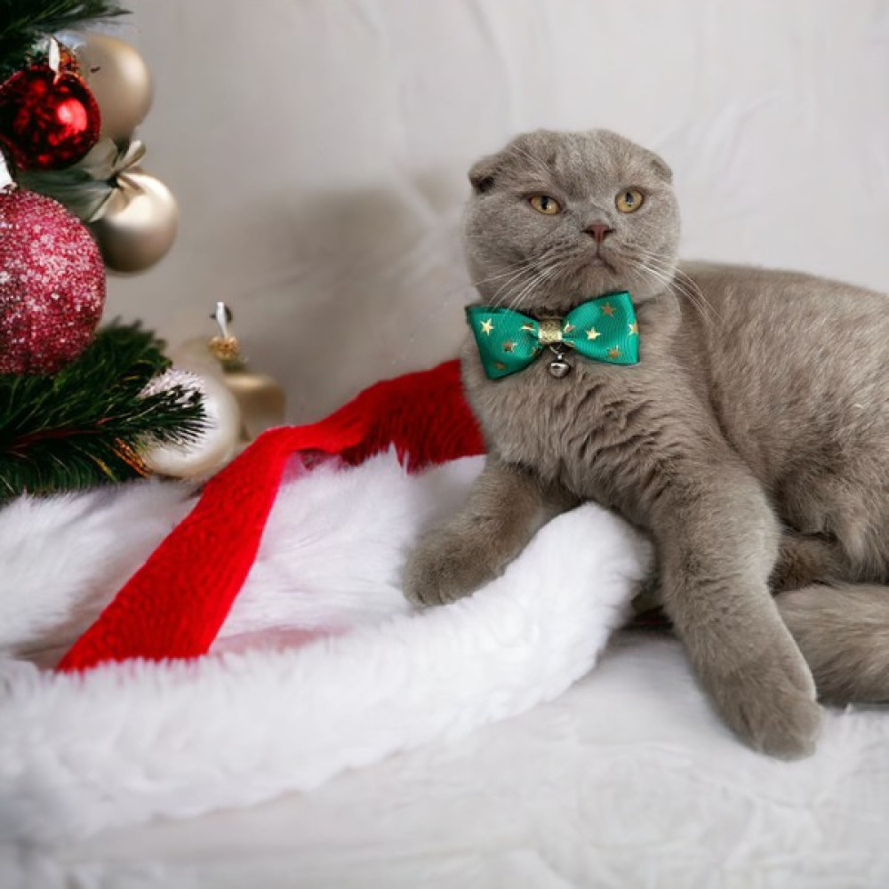 Yıldız Desenli Yeşil Yılbaşı Tema Kedi Tasması Evcil Hayvan Ürünleri Fiyatı