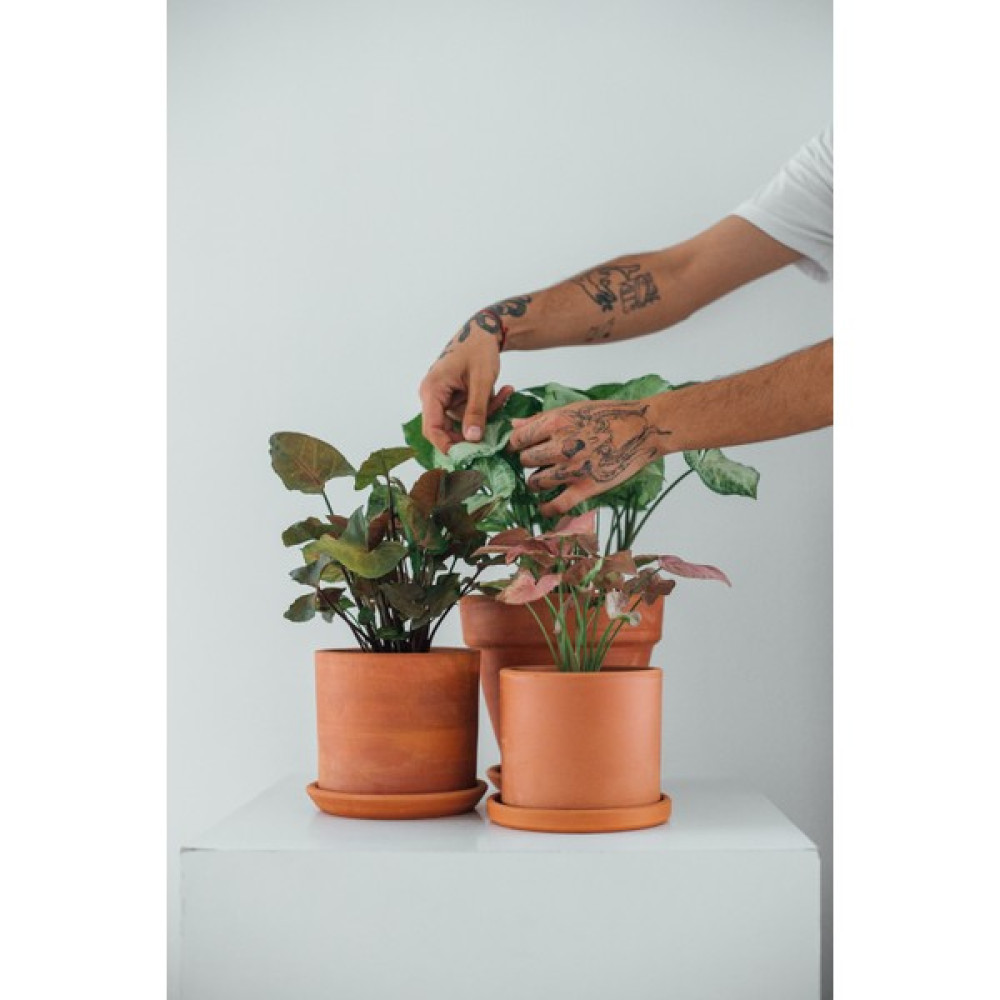 Yoma Plant Silindir Toprak Saksı & Saksı Altlığı 16 cm Saksı ve Aksesuarları Fiyatı