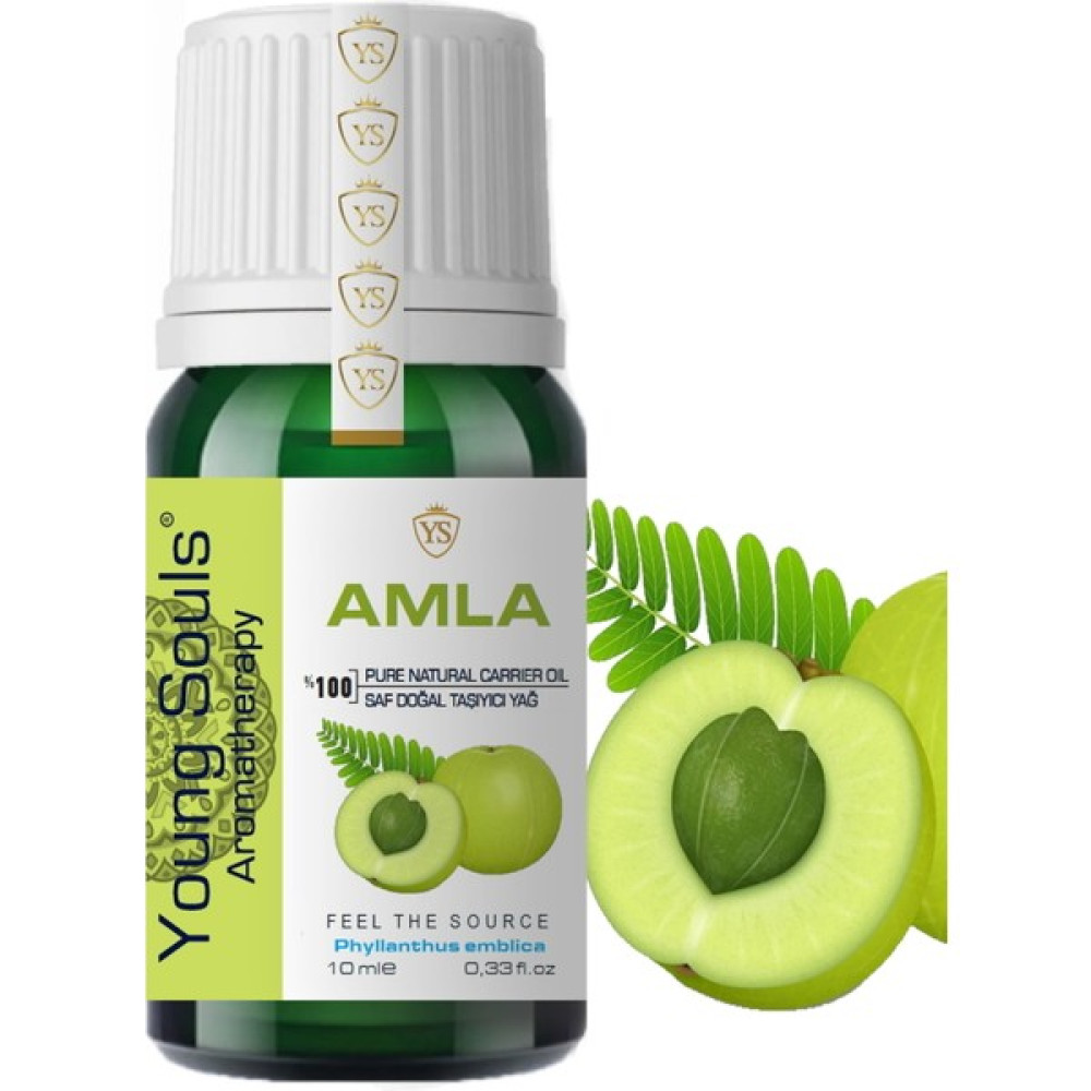 Young Souls Aromatherapy Amla Carrier Oil Amla Taşıyıcı Yağ 10 ml Oto Boyaları Fiyatı